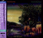 Tango In The Night - Fleetwood Mac