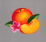 Bankrupt! - Phoenix Bankrupt! - Phoenix