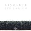 Resolute - Stu Larsen
