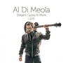 Elegant Gypsy & More - Al Di Meola 