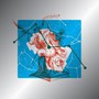 Mary Casio Journey To Cassiopeia - Hannah Peel