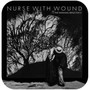 The Swinging Reflective - Nurse With Wound