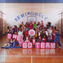 Semicircle - Go! Team, The