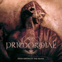 Exile Amongst The Ruins - Primordial