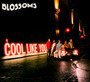 Cool Like You - Blossoms