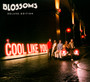 Cool Like You - Blossoms