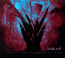 Under The Fragmented Sky - Lunatic Soul
