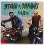 44/876 - Sting  /  Shaggy