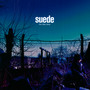 The Blue Hour - Suede