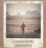 Runaway - Passenger