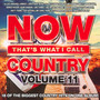 Now That's What I Call Country vol. 11 - Now!   