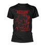 Asylum - Red _TS80334_ - Plan 9 - Asylum