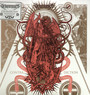 Contradiction - Schammasch