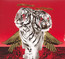 New Levels New Devils - Polyphia