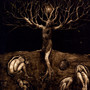 A Drop Of Light - All Traps On Earth(Anglag