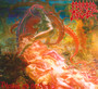 Blessed Are The Sick - Morbid Angel