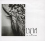 In Flickers - Lycia