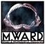What A Wonderful Industry - M. Ward
