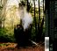 All Tree - Hexvessel - powiększ All Tree - Hexvessel