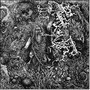 Animist - Werian