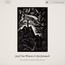 An Attempt To Draw Aside The Veil - Jozef Van Wissem  / Jim Jarmush