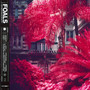 Everything Not Saved Will Be Lost Part1 - The Foals
