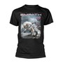 Ice Queen _TS80334_ - Devin Townsend