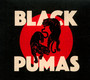Black Pumas - Black Pumas