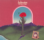 Bird Songs Of A Killjoy - Bedouine