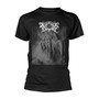 Xasthur _TS80334_ - Xasthur