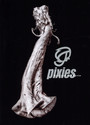 Beneath The Eyrie - The Pixies