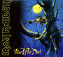 Fear Of The Dark - Iron Maiden
