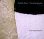 Playing The Room - Avishai Cohen / Yonathan Avishai