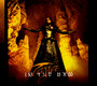 In The Raw - Tarja   