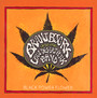 Black Power Flower - Brant Bjork