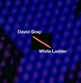 White Ladder - David Gray