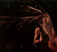 Echo Echo - Iamx