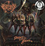 Dance With The Devil - Burning Witches