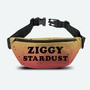 Ziggy Stardust _Bag50511_ - David Bowie