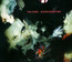 Disintegration - The Cure