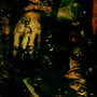 Mestarin Kynsi - Oranssi Pazuzu