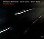 Angular Blues - Wolfgang Muthspiel / Scott Colley / Brian Blade