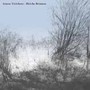 Bleiche Brunnen - Asmus Tietchens
