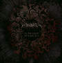 In The Light Of Darkness - Unanimated
