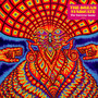 The Universe Inside - The Dream Syndicate 