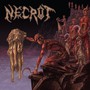 Mortal - Necrot