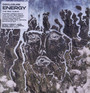 Energy - Disclosure