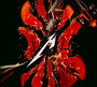 S&M2 - Metallica