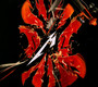 S&M2 - Metallica