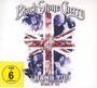 Thank You-Livin' Live - Black Stone Cherry